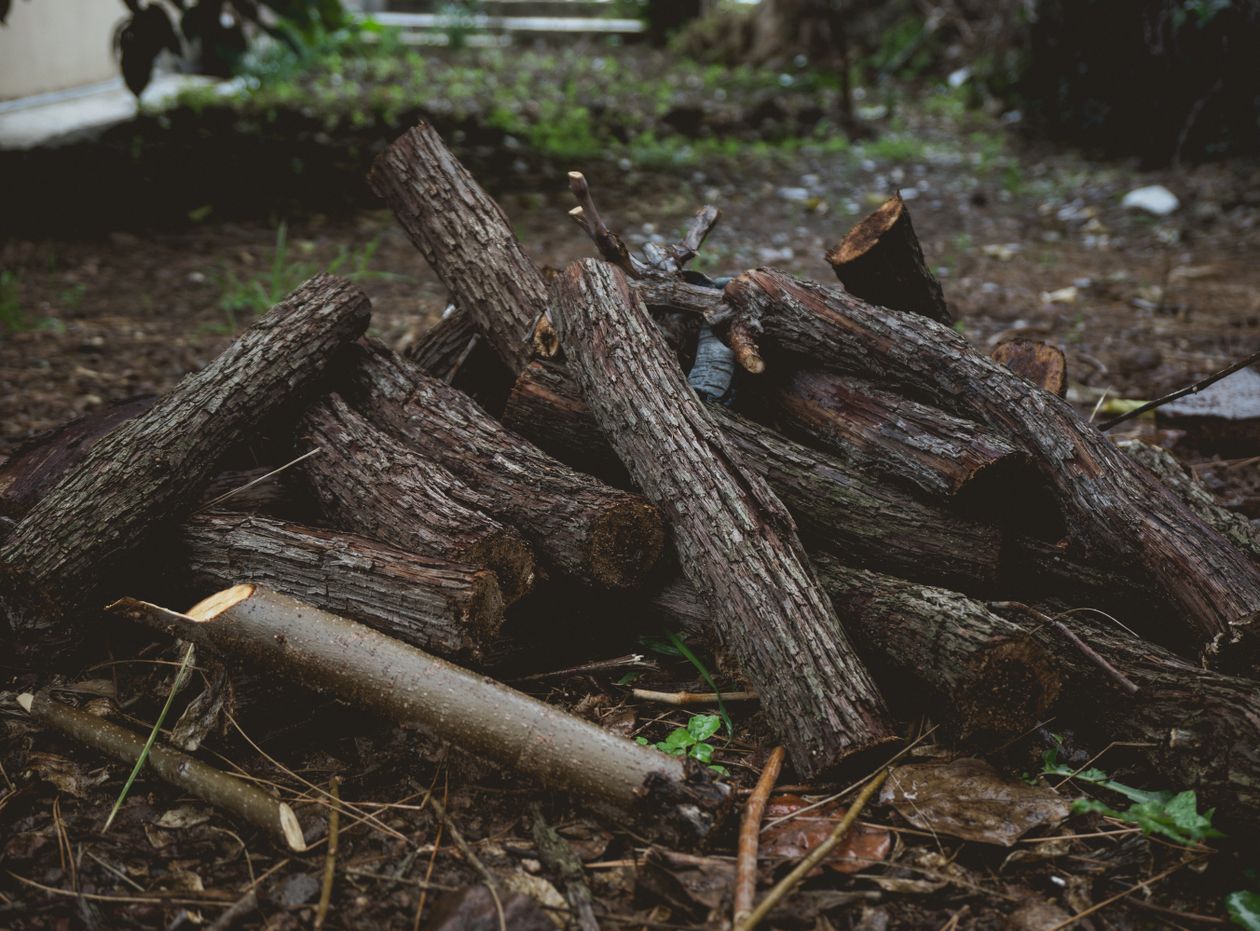 Pile of cut branches for yard waste removal in Sudbury